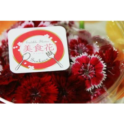 美食花］エディブルフラワー（食用花）パック 花農家直送 : フラワー