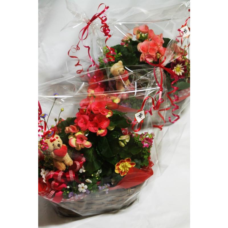 花農家直送 送料無料 千華園 フラワーンダフルバスケット ギフト 大 Yg3500 フラワーンダフル 千華園 通販 Yahoo ショッピング