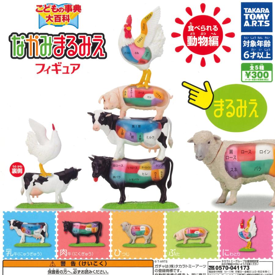 待望 タカラトミーアーツ ガチャ なかみまるみえフィギュア 全5種 コンプセット 乳牛 肉牛 ひつじ ぶた にわとり 動物 フィギュア
