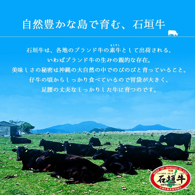 お歳暮 石垣牛 三昧セット 1kg【贈答用化粧箱入り】 送料無料 沖縄県産和牛 沖縄 グルメ お取り寄せ お取り寄せグルメ 和牛｜senkaokinawa｜02