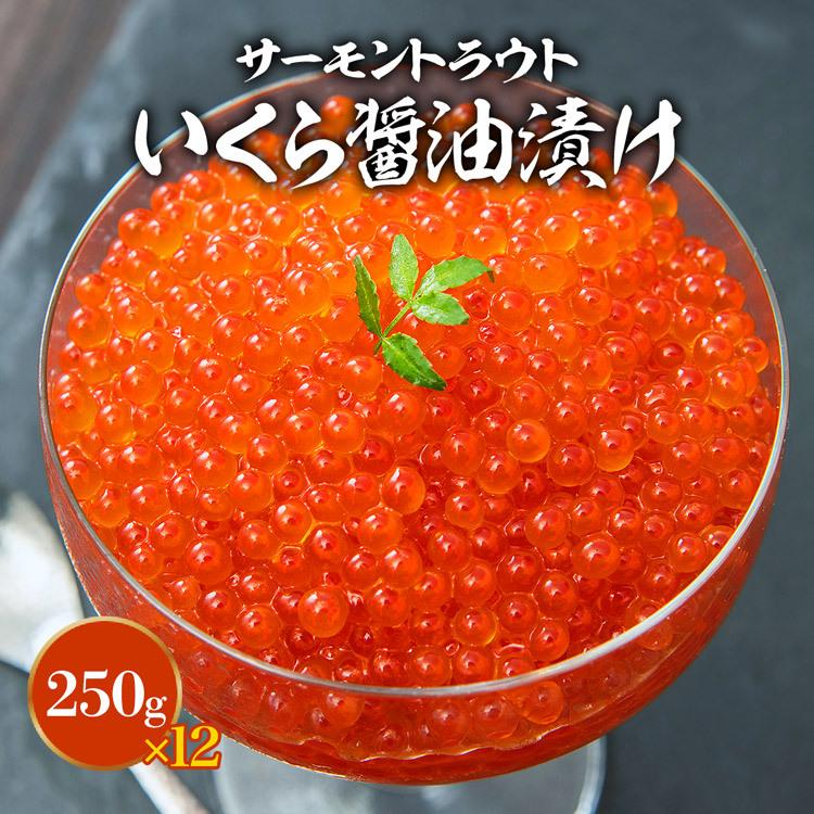 ＼衝撃価格／いくら 醤油漬け 250g×12パック 計3kg 粒は小さいけど味は抜群！ サーモン トラウト イクラ 丼 軍艦 ギフト 計3kg 大豆