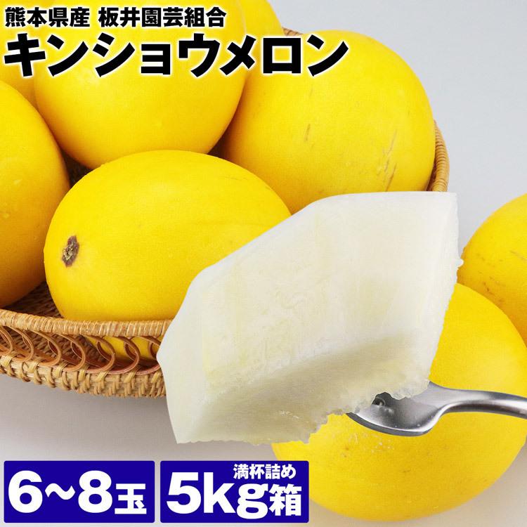 キンショウメロン 6 8玉 2l Laサイズ 5kg箱満杯詰め 熊本県産 キンショー