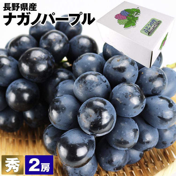 ナガノパープル 2房 秀 長野県産 贈答用 冷蔵便 合計約800g 種なし 皮ごと 同梱不可 指定日不可 ぶどう ブドウ 葡萄 露地栽培 種無し Kdm 153 泉果通販ヤフー店 通販 Yahoo ショッピング