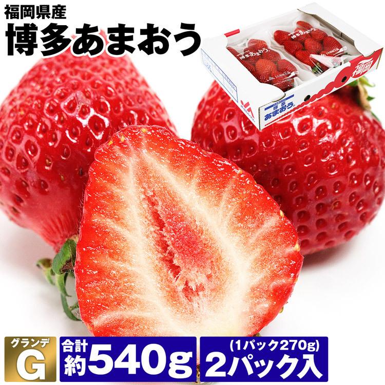 あまおう いちご 福岡 ご家庭用 G 2パック 約540g 1パック約270g