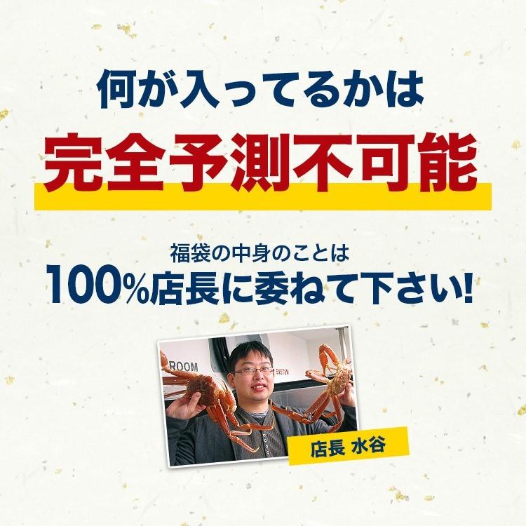 福袋 食品 店長おまかせ福袋 冷凍便 何が入ってるかは届くまでのお楽しみ！ 冷凍便 ギフト｜senkatsuhan｜03