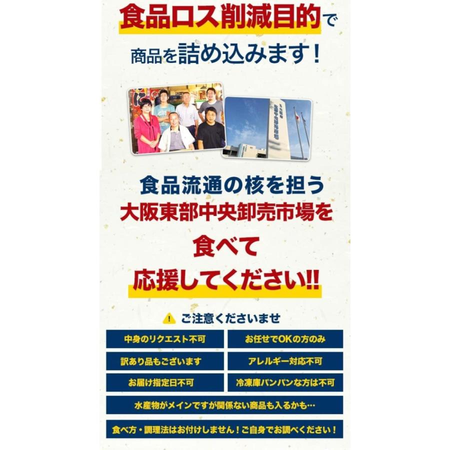 福袋 食品 店長おまかせ福袋 冷凍便 何が入ってるかは届くまでのお楽しみ！ 冷凍便 ギフト｜senkatsuhan｜06