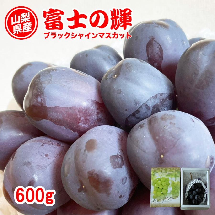 ぶどう シャインマスカット ブラックシャインマスカット  山梨県産 富士の輝 1房入 600g ブドウ マスカット クール便 送料無料 お中元 爆買