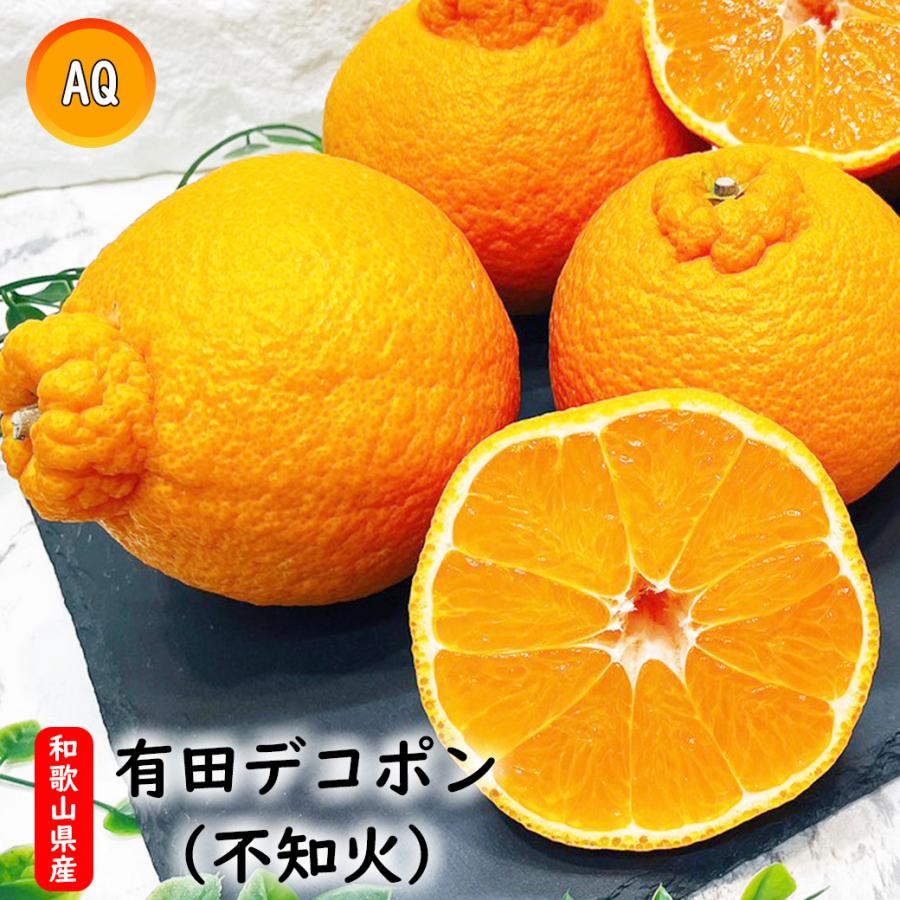 デコポン 有田 不知火 送料無料 2.5kg箱 和歌山県産 秀品 3L〜5Lサイズ