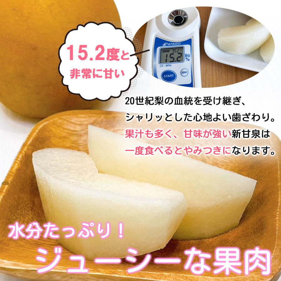 梨 5kg 新甘泉 甘い梨 送料無料 訳あり 鳥取県産 新甘泉梨 6〜20玉入