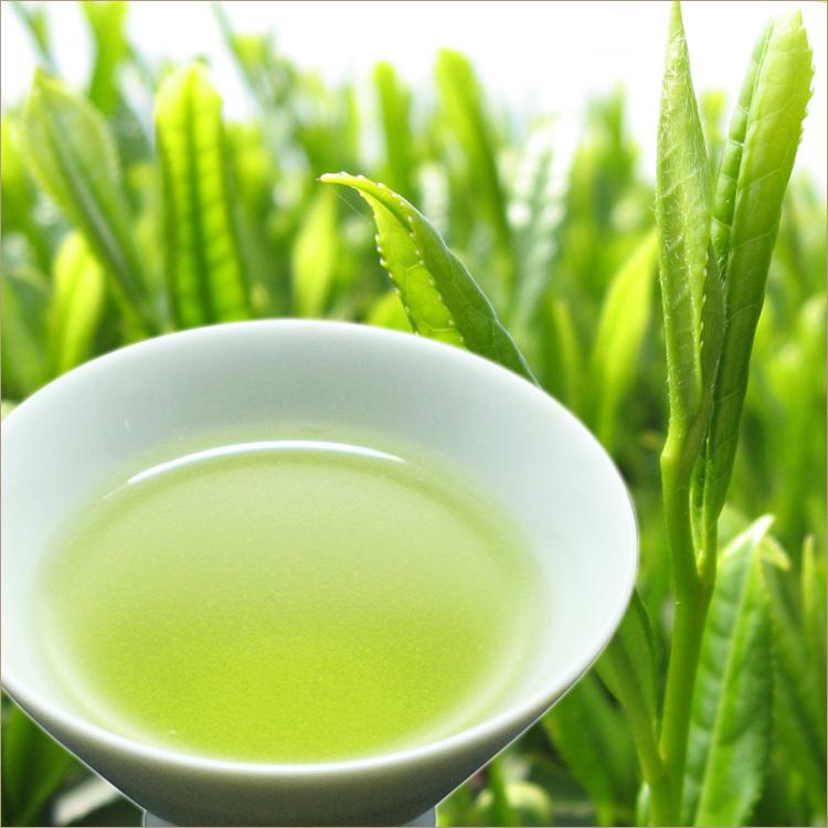 PayPayポイント5%(条件付き) 新茶 2026 期間限定 2026年新茶 滋賀 朝宮茶 50g 袋 メール便・ポスト便可 yahooショッピング | 千年の香り 千紀園