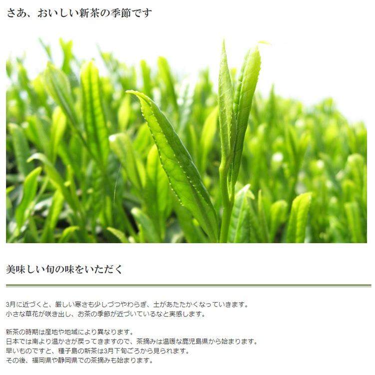 PayPayポイント5%(条件付き) 新茶 2026 期間限定 2026年新茶 滋賀 朝宮茶 50g 袋 メール便・ポスト便可 yahooショッピング | 千年の香り 千紀園 | 01