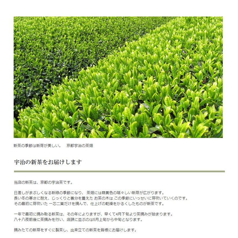 PayPayポイント5%(条件付き) 新茶 2026 期間限定 2026年新茶 滋賀 朝宮茶 50g 袋 メール便・ポスト便可 yahooショッピング | 千年の香り 千紀園 | 02