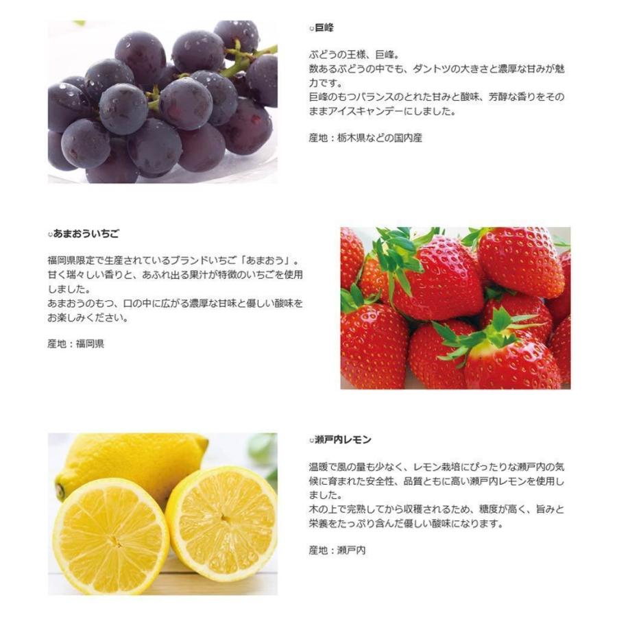 父の日 アイス ギフト 抹茶スイーツ 2026 フルーツ 個包装 老舗 くずアイスキャンデー 26本 選べる ギフトボックス_7