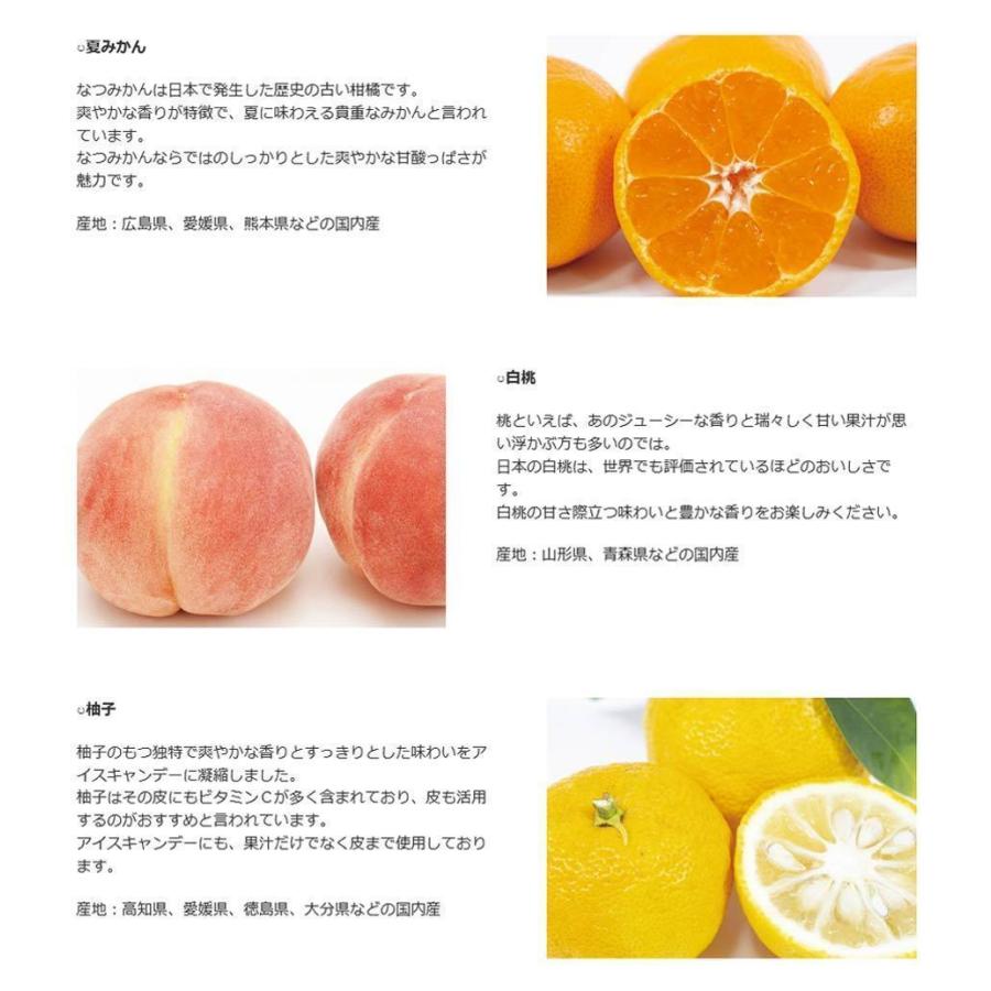 父の日 アイス ギフト 抹茶スイーツ 2026 フルーツ 個包装 老舗 くずアイスキャンデー 26本 選べる ギフトボックス_8