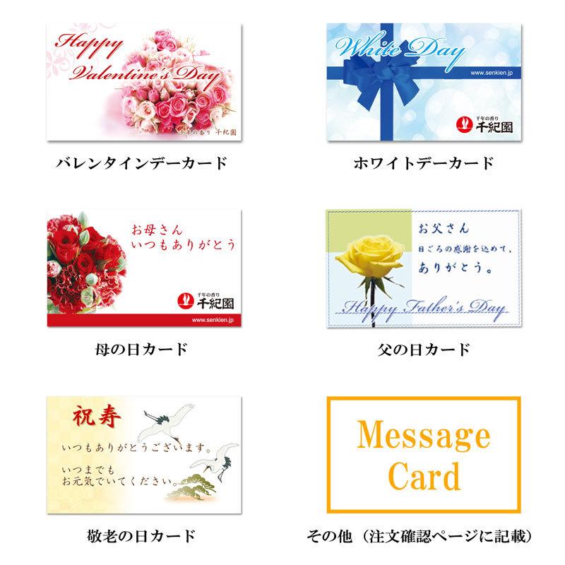 お中元 御中元 夏ギフト 22 お中元ギフト ギフト 贈り物 メッセージカード 千紀園 通販 ヤフー Yahoo ショッピング Giftcards お茶 茶道具 抹茶スイーツ千紀園 通販 Yahoo ショッピング