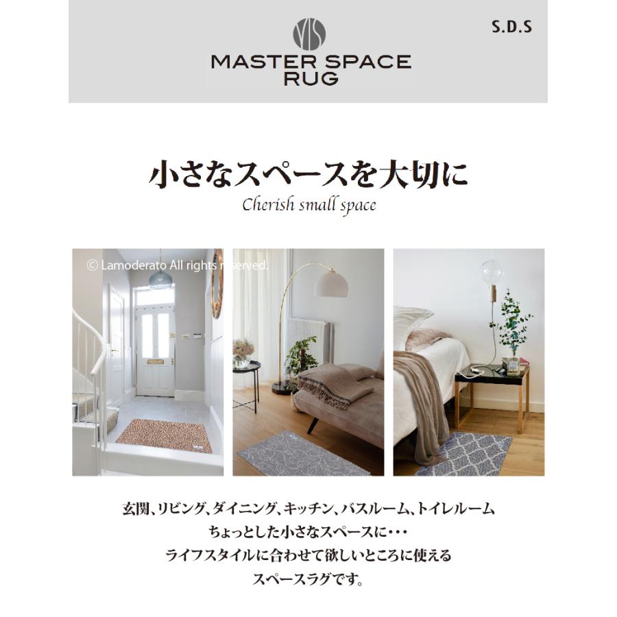 センコー 玄関マット おしゃれ 室内 洗える ラグマット SDS KINETIC 約