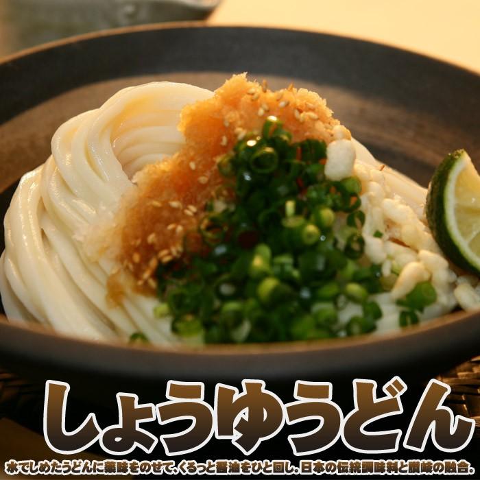 箱入うどん県の徳用生うどん/讃岐うどん 10人前 : 千客麺来・久保田
