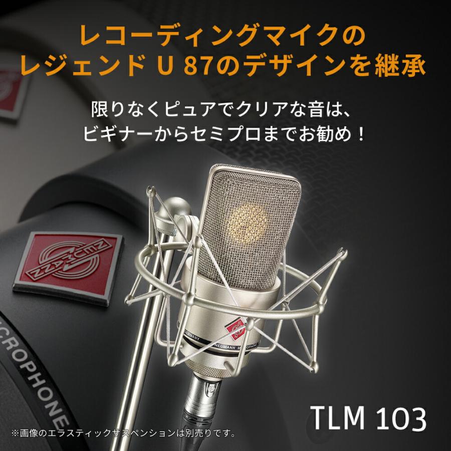 Neumann ノイマン TLM 103 ラージダイアフラム SG2 木箱 【国内正規品】008430 008431 メーカー保証3年 送料無料 スタジオマイク｜sennheiser-proaudio｜02