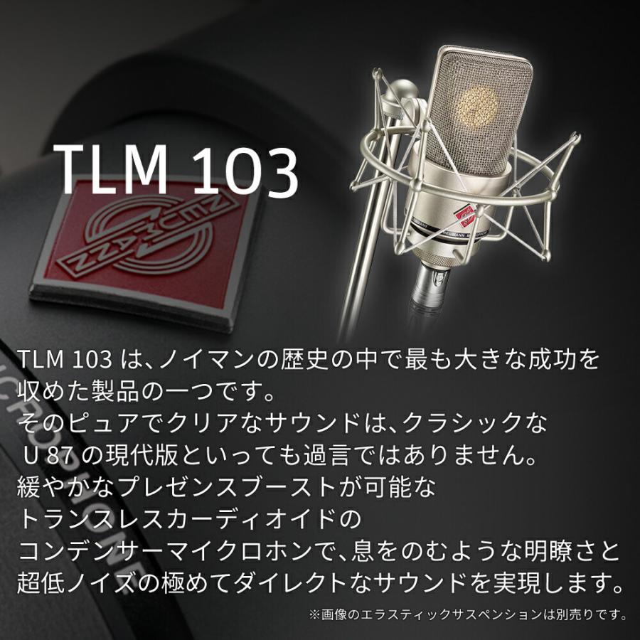 Neumann ノイマン TLM 103 ラージダイアフラム SG2 木箱 【国内正規品】008430 008431 メーカー保証3年 送料無料 スタジオマイク｜sennheiser-proaudio｜03