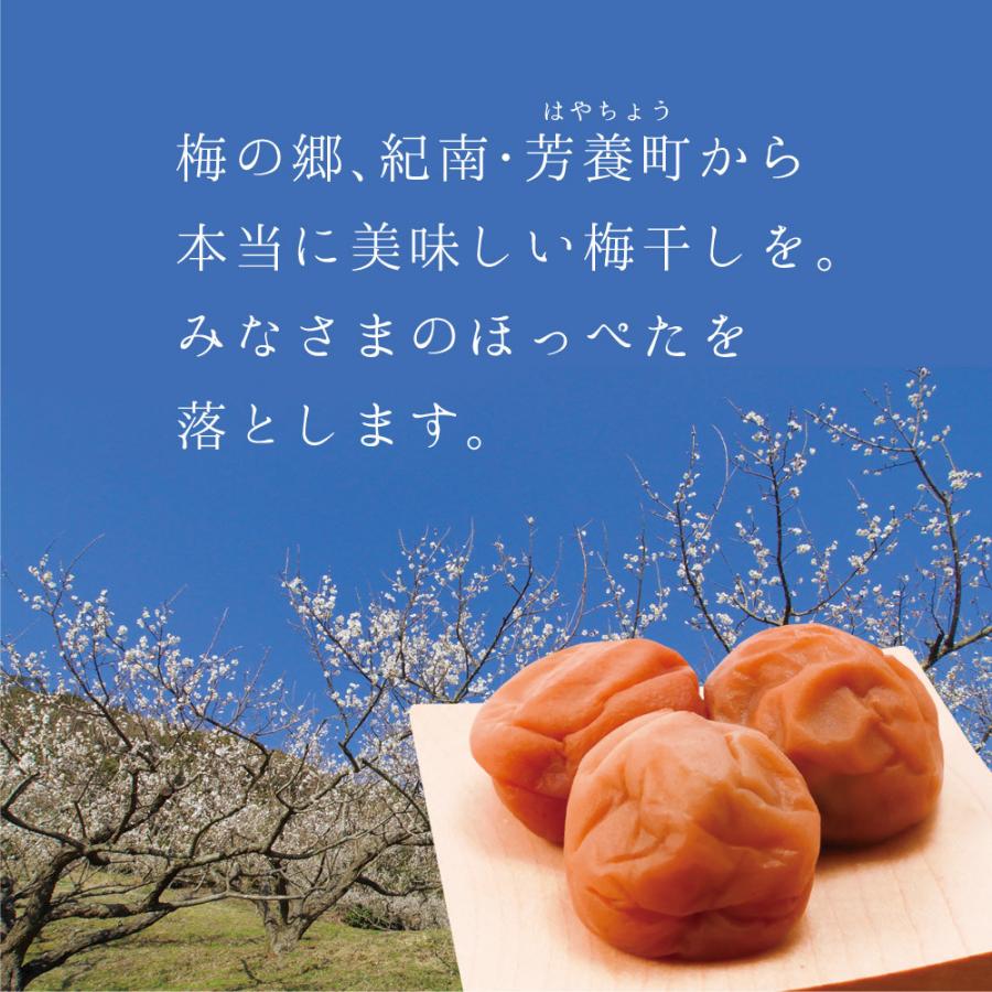 梅干し お試しset Ａセット 梅ぼし 240g 文左 黒潮梅 はちみつ梅 うめぼし 送料無料 美味しい 仙宝 高級 紀州南高梅｜senpo｜02