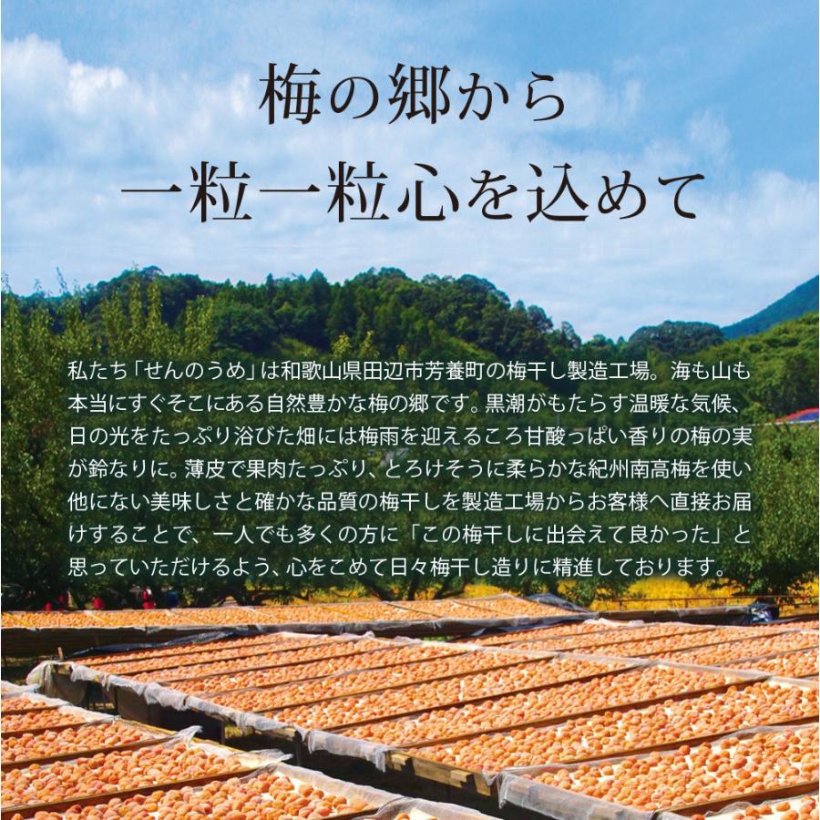 梅干し お試しset Ａセット 梅ぼし 240g 文左 黒潮梅 はちみつ梅 うめぼし 送料無料 美味しい 仙宝 高級 紀州南高梅｜senpo｜14