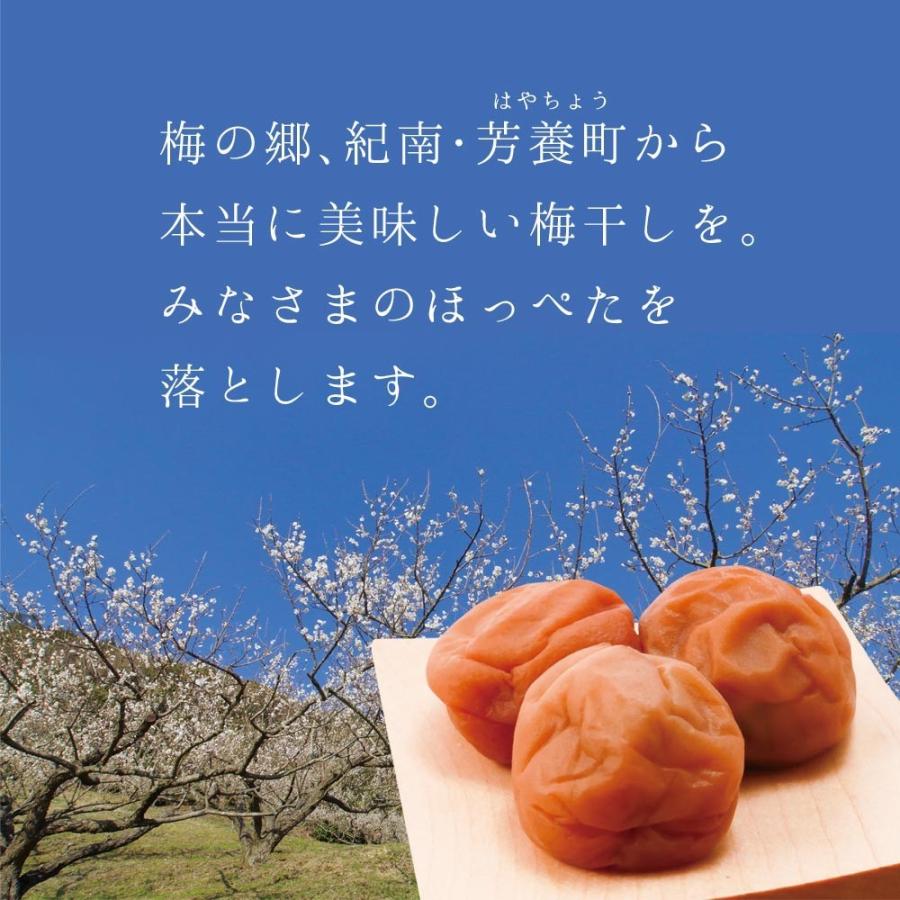 梅干し お試しset Ｃセット 梅ぼし 340g お得 はちみつ梅 うめぼし 梅干し 送料無料 美味しい 高級 仙宝｜senpo｜02