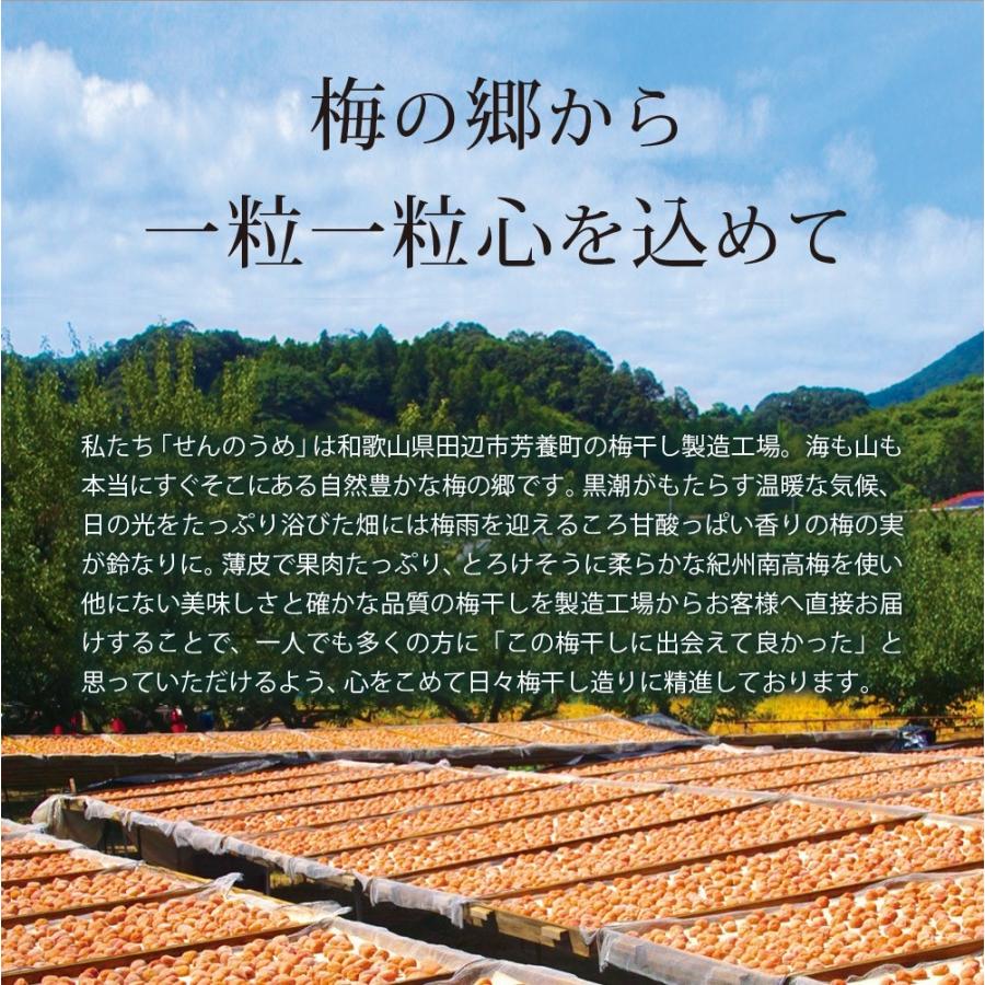 梅干し お試しset Ｃセット 梅ぼし 340g お得 はちみつ梅 うめぼし 梅干し 送料無料 美味しい 高級 仙宝｜senpo｜16