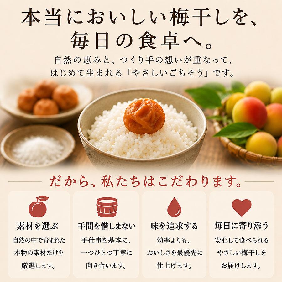 せんのうめ 梅干し 文左 400g うめぼし 梅干し 南高梅 漬物 国産 味梅