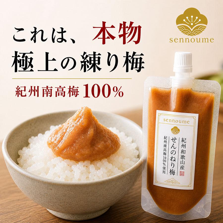 練り梅 ねり梅 梅干し １本 練梅 南高梅 100% 梅肉 ペースト チューブ 種なし ねりうめ 国産 減塩 介護食 爆買（Yahoo!・美味しい梅干し工房せんのうめ）