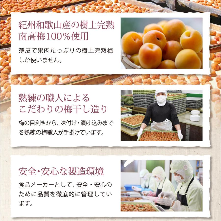 毎日続々入荷 梅干し ねりうめ 南高梅の 高級 練り梅 梅肉 ペースト チューブ 140g 送料無料 国産 仙宝 梅干 介護食 お粥 種なし 毎日続々入荷 梅干し ねりうめ 南高梅の 高級 練り梅 梅肉 ペースト チューブ 140g 送料無料 国産 仙宝 梅干 介護食 お粥 種なし