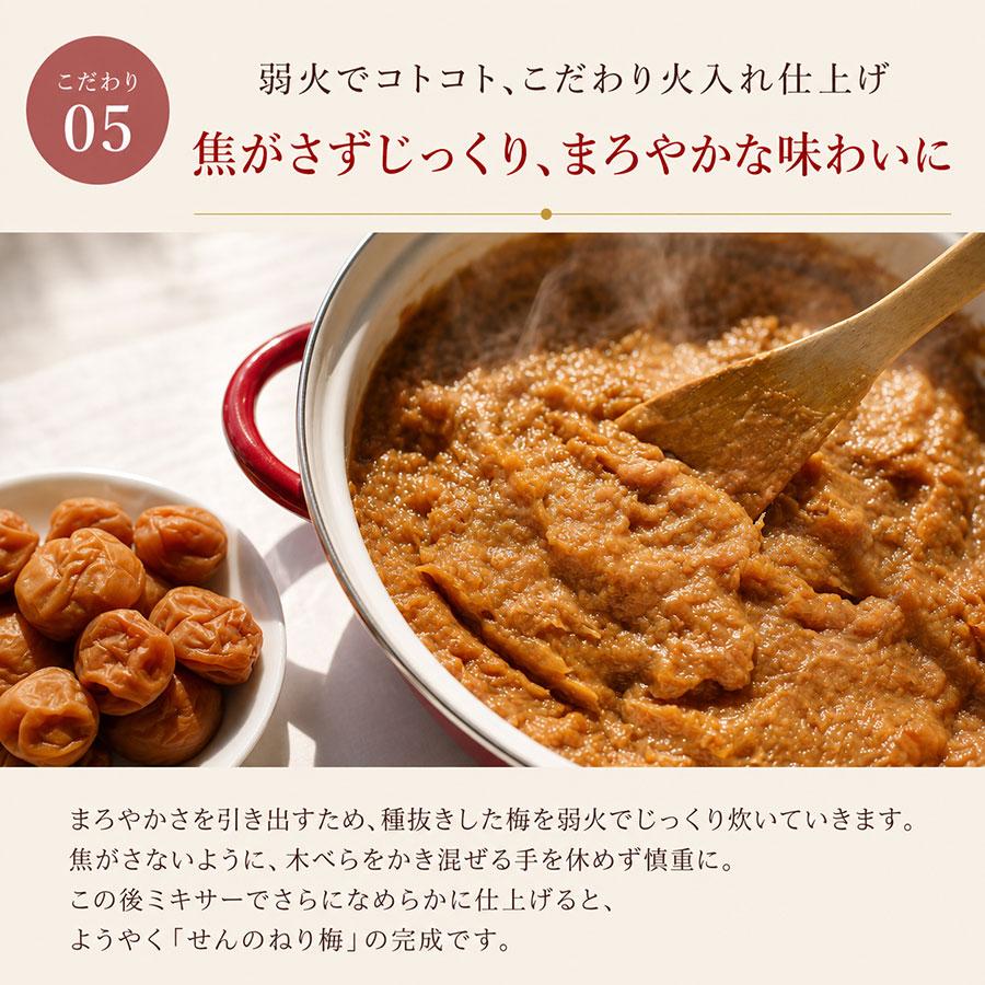 せんのうめ 練り梅 ねり梅 爆買 梅干し 2本 高級 梅肉 140g×2本