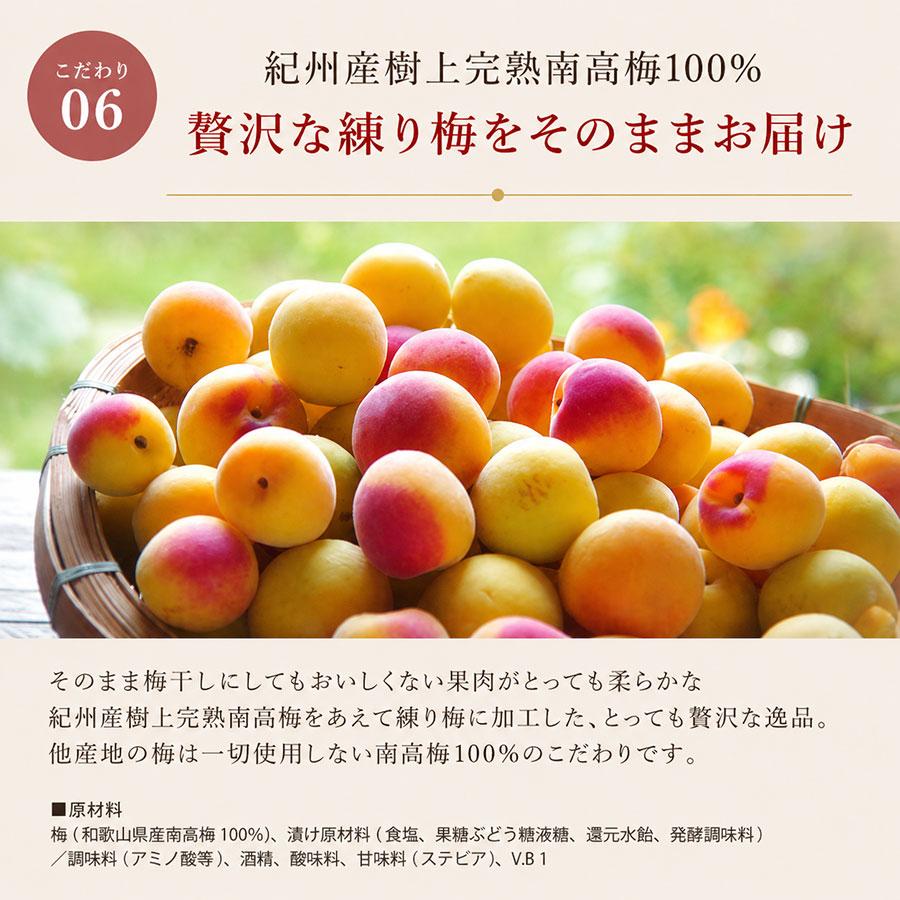 せんのうめ 練り梅 ねり梅 爆買 梅干し 2本 高級 梅肉 140g×2本