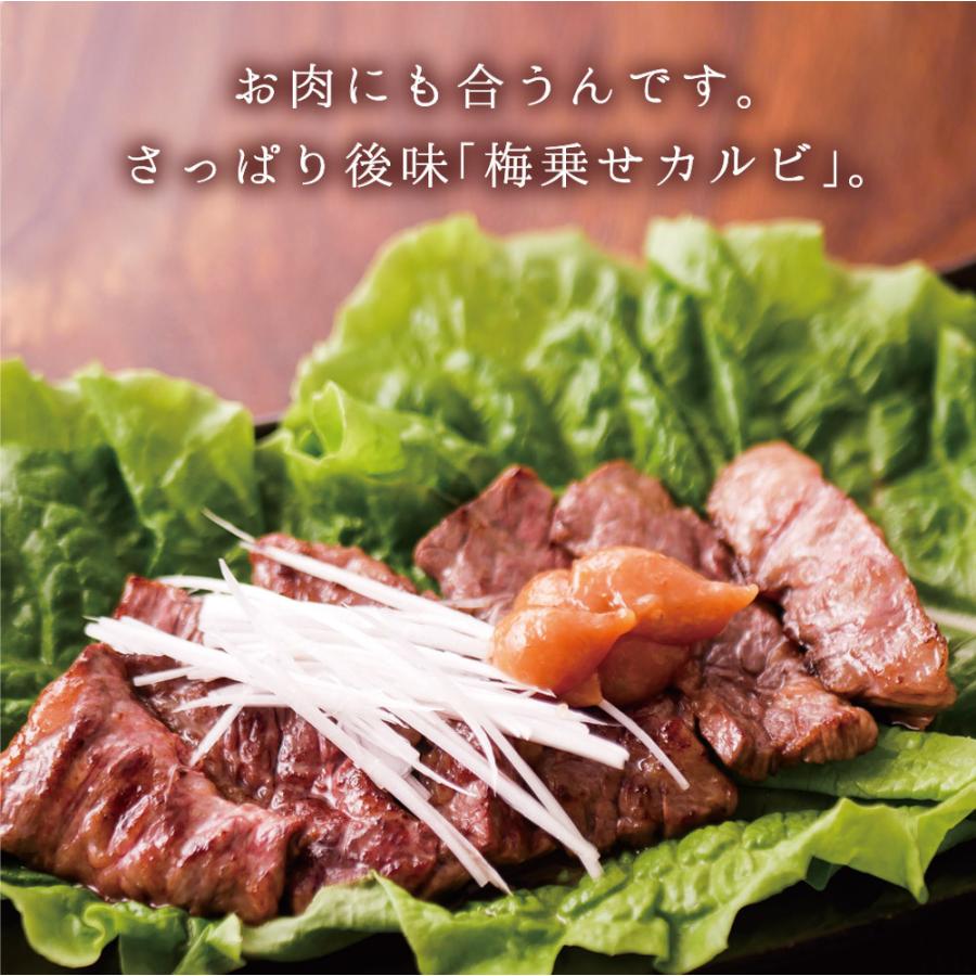 ねり梅 練り梅 梅干し 高級 梅肉 140g×2本 南高梅 ペースト 介護食 チューブ プチギフト 味変 送料無料 仙宝｜senpo｜14