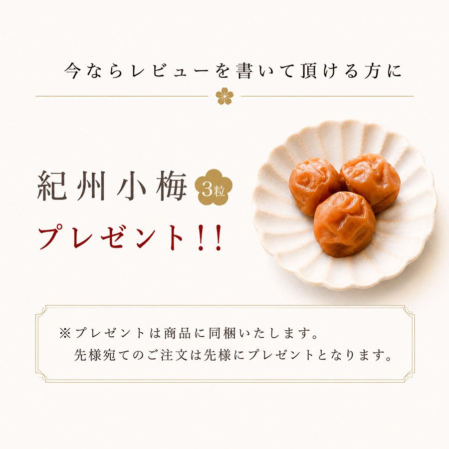 せんのうめ 練り梅 ねり梅 爆買 梅干し 2本 高級 梅肉 140g×2本
