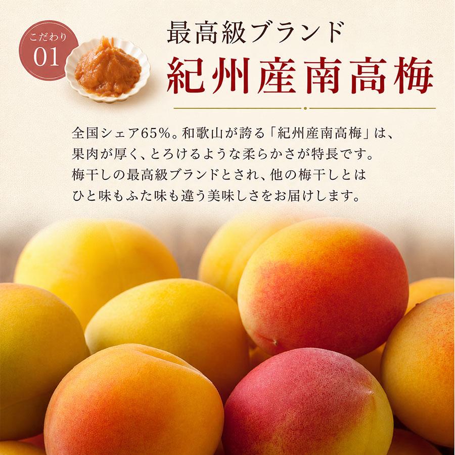 せんのうめ 練り梅 ねり梅 爆買 梅干し 2本 高級 梅肉 140g×2本