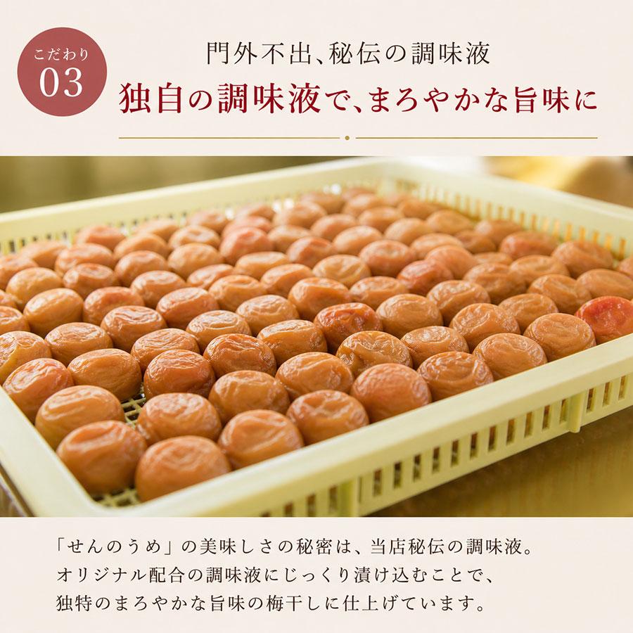 せんのうめ 練り梅 ねり梅 爆買 梅干し 2本 高級 梅肉 140g×2本