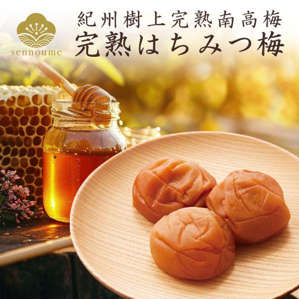 せんのうめ はちみつ梅 1kg 梅干し 紀州 完熟 南高梅 うめぼし 国産 お