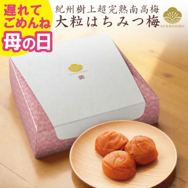 母の日 ギフト 2026 梅干し プレゼント 大粒はちみつ梅ギフト 200g はちみつ梅 50代 60代 70代 80代 花以外 食品（Yahoo!・美味しい梅干し工房せんのうめ）