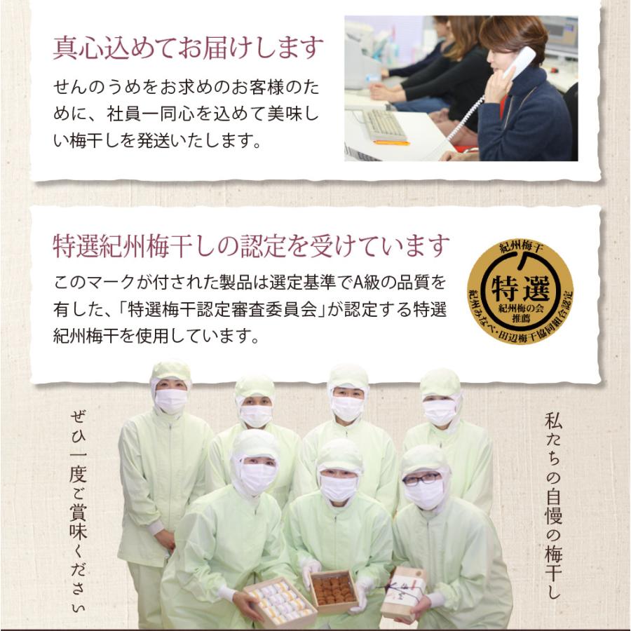 父の日 ギフト 2024 梅干し 個包装 梅ごこち ８粒入 紫風呂敷 プレゼント 誕生日 内祝い 香典返し 人気 御礼 高級｜senpo｜20