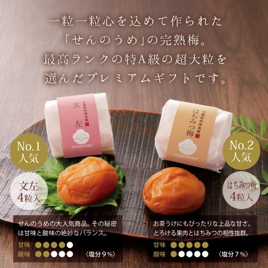せんのうめ お中元 御中元 2026 梅干し ギフト 個包装 梅ごこち 8粒