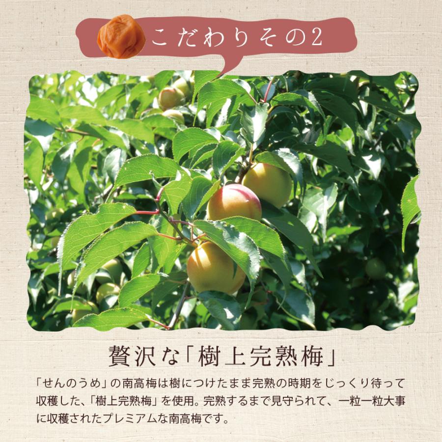 【ヤフショ独占販売】お中元 御中元 2026 ギフト 梅干し 個包装 梅ごこち 12粒 桐箱 高級 お祝い誕生日 | せんのうめ | 13