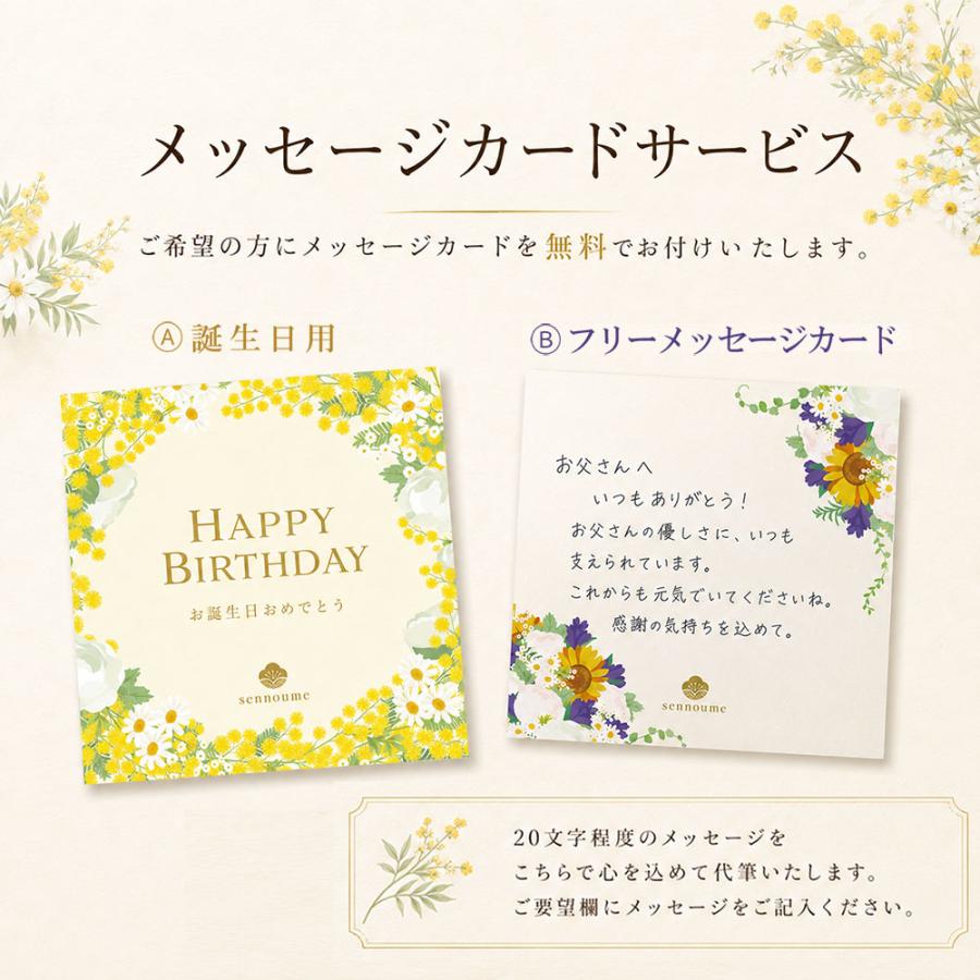 【ヤフショ独占販売】お中元 御中元 2026 ギフト 梅干し 個包装 梅ごこち 12粒 桐箱 高級 お祝い誕生日 | せんのうめ | 09