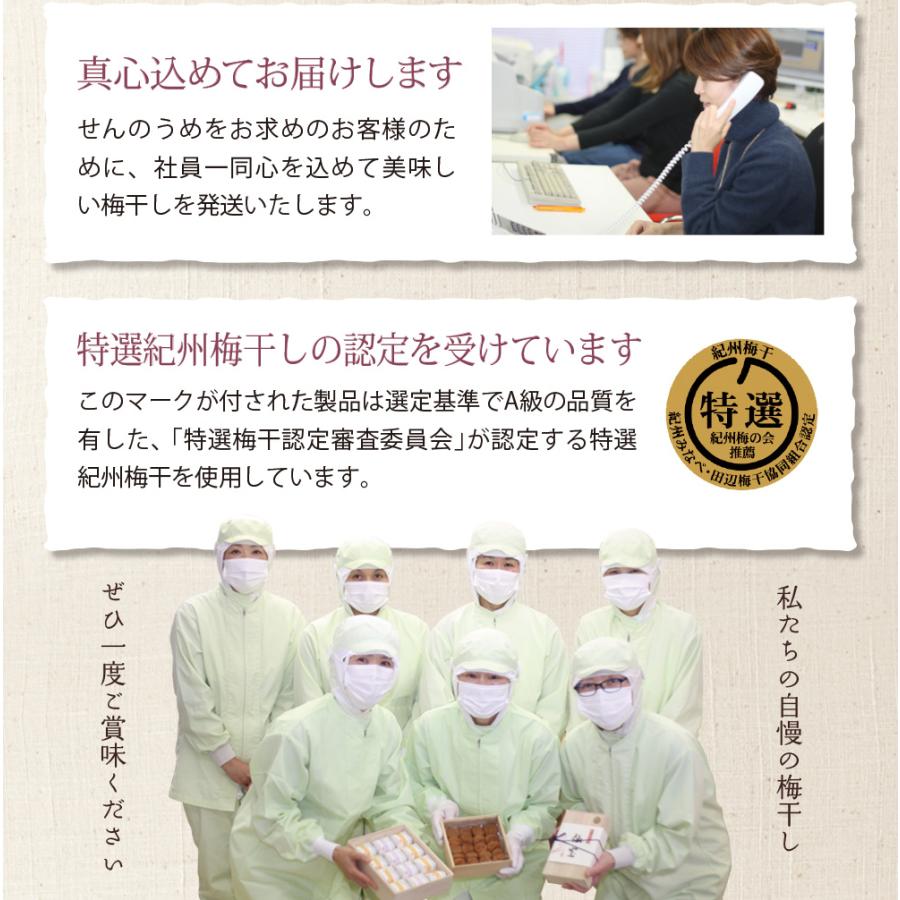 【ヤフショ独占販売】お中元 御中元 2026 ギフト 梅干し 個包装 梅ごこち 12粒 桐箱 高級 お祝い誕生日 | せんのうめ | 16