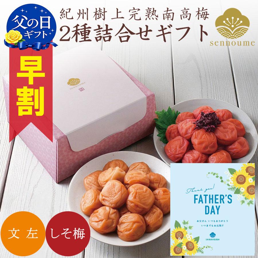 父の日 ギフト 2026 梅干し プレゼント 二種詰合せギフト 文左 しそ梅 380g 早割100円OFFクーポン お誕生日 50代 60代 70代（Yahoo!・美味しい梅干し工房せんのうめ）
