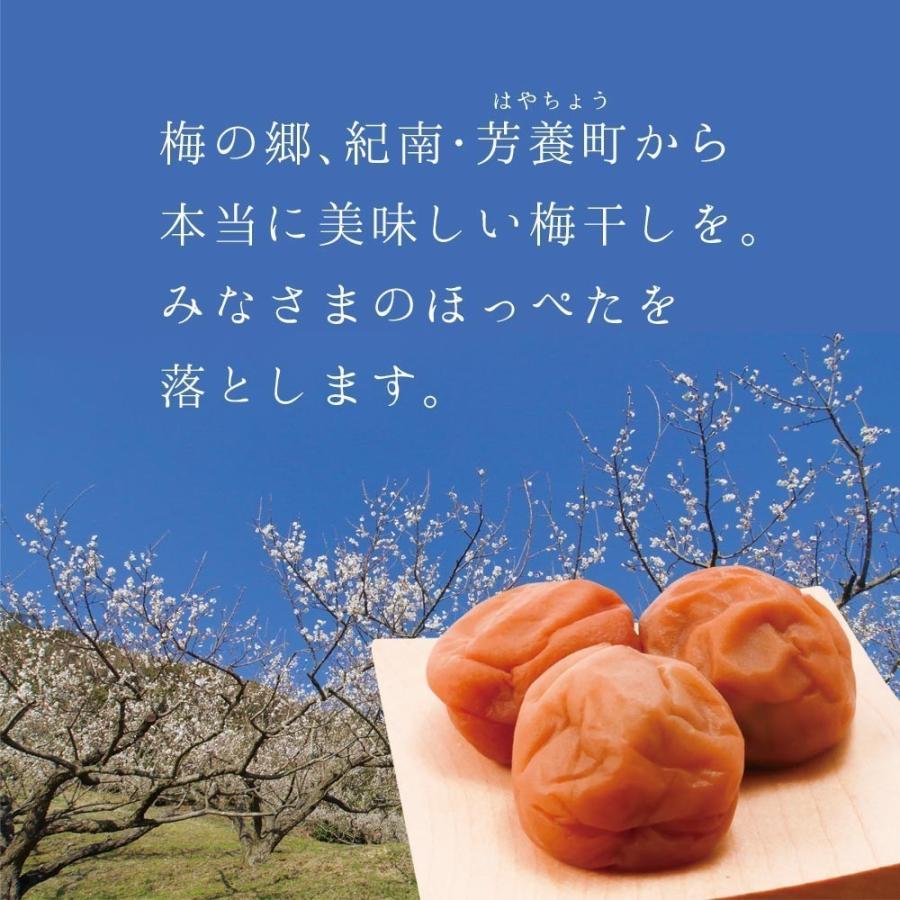 父の日 ギフト 梅干し 2024 はちみつ梅 しそ梅 二種詰合せ 460g ギフト プレゼント うめぼし 人気 高級 誕生日 内祝い｜senpo｜04