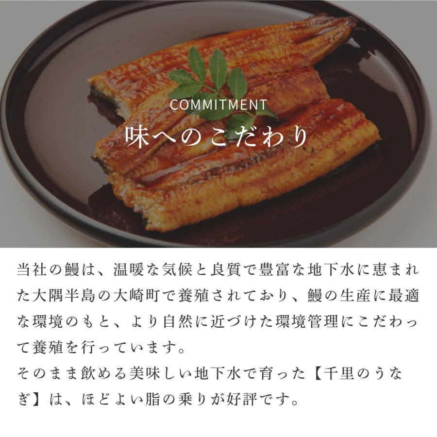 国産うなぎ 鹿児島 鰻蒲焼3尾セット 定番 長蒲焼 ギフト お取り寄せ