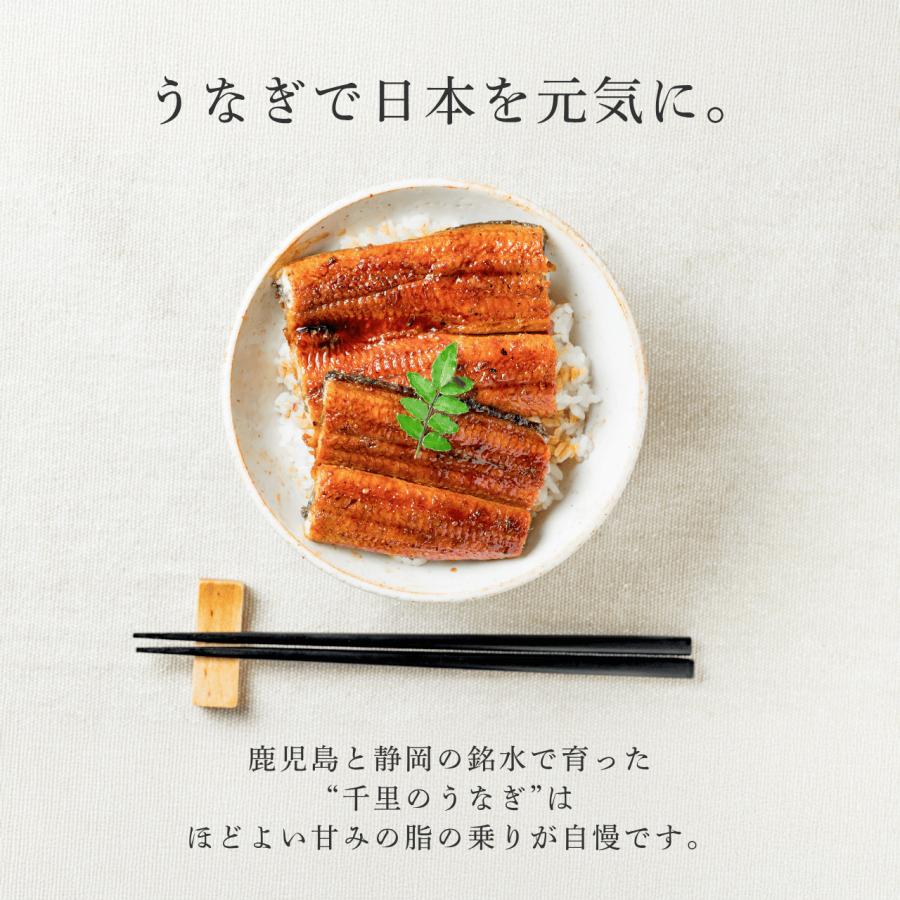 国産うなぎ 鹿児島 刻み鰻10パックセット 一口サイズ 小分け冷凍 タレ