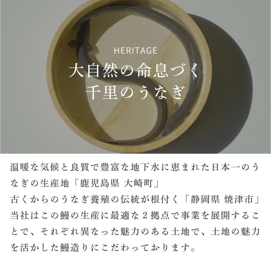国産うなぎ 鹿児島 刻み鰻10パックセット 一口サイズ 小分け冷凍 タレ