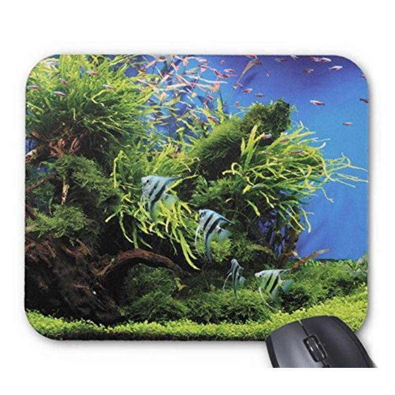 最終決算 エンゼルフィッシュ水槽のマウスパッド フォトパッド アップ 世界の熱帯魚シリーズ マウスパッド Www We Job Com