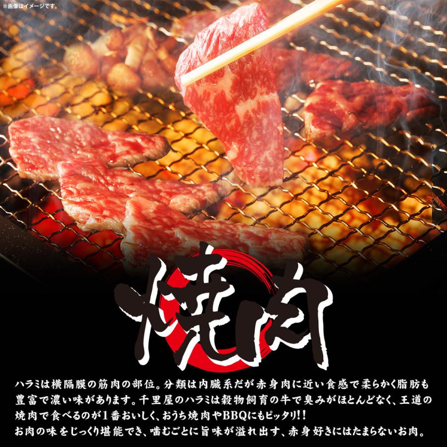 父の日 肉 ハラミ 牛肉 焼肉 バーベキュー BBQ 豪州産 穀物牛 ギフト プレゼント お取り寄せ 豪州産穀物牛プレミアムハラミ お試し 100g｜senriya4129｜03